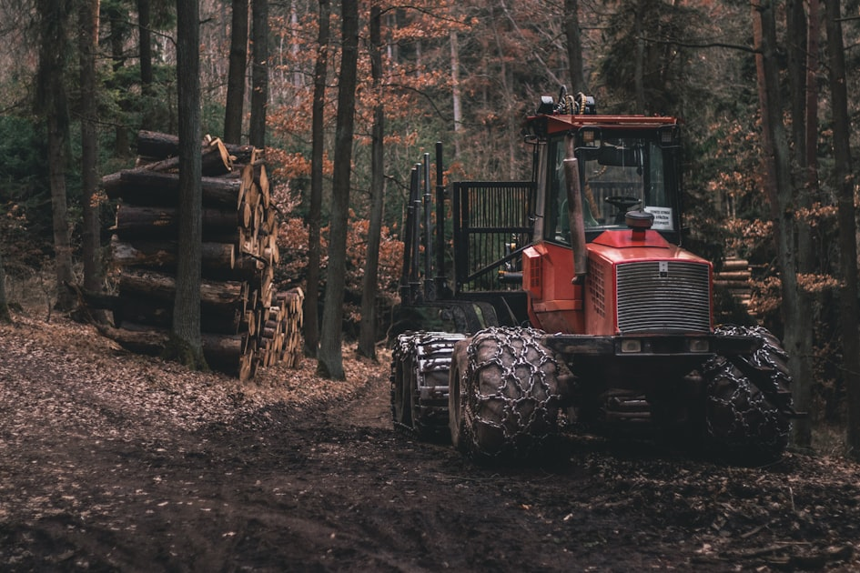 Stump Grinding Explained