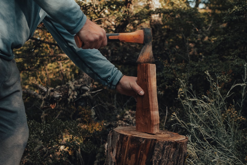 Land Clearing Services in Townsville