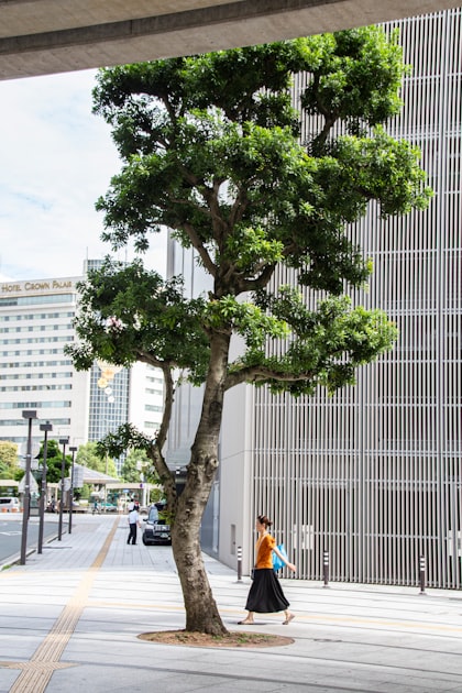 Tree Management Best Practices